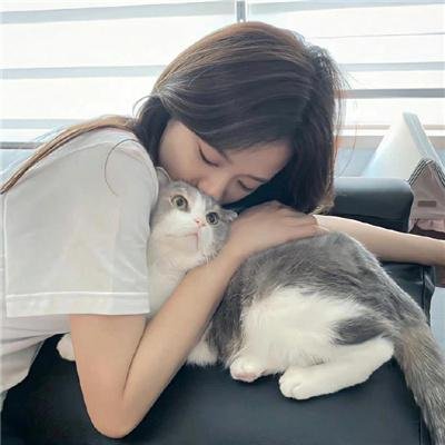 阿丽塔:战斗天使