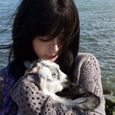 谍报飞龙